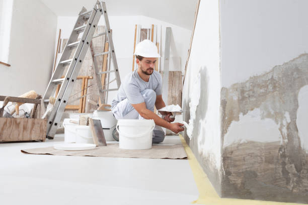 Best Eco-Friendly and Low-VOC Painting  in Garner, NC