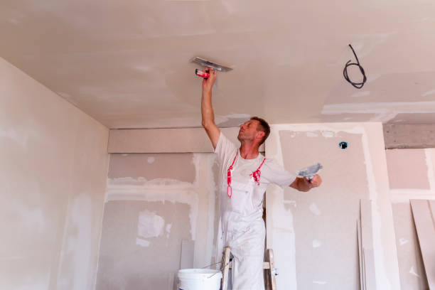 Best Repainting for Renovations  in Garner, NC